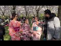 a visit to world famous cherry blossom park @netherlands cherryblossom netherlandstamilan