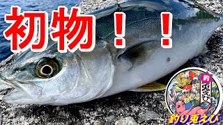 【青物】初物！！　ショアジギング　ライトタックル