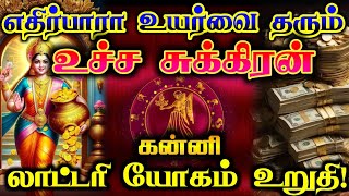 கன்னி - எதிர்பாரா உயர்வு தரும் உச்ச சுக்கிரன்/#கன்னி #கன்னிராசி #kanni  #kannirasi #rasipalan