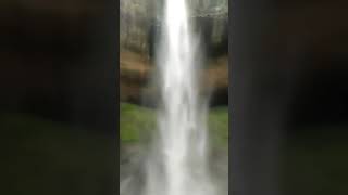 Musafir Hoon Main Yaaro ♥️📍 #chasingwaterfalls #pandavkadawaterfall #travelblogger #incredibleindia