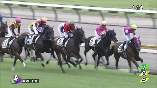 2022 08 20 新潟1R 障害3歳以上未勝利 マサハヤニース