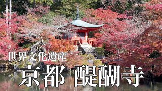 2022年11月18日 【京都の紅葉散策🍁】世界文化遺産の醍醐寺の紅葉 Walk in Daigoji Temple,Kyoto 【4K】