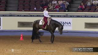 2023 Western Horsemanship -- AQHYA World Championship Show