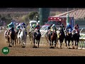 2024 Breeders' Cup Classic: America's Top Horses Compete for $7 Million