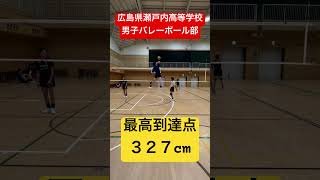 最高到達点３２７cm #shorts #瀬戸内高校男子バレーボール部 #スパイク #最高到達点