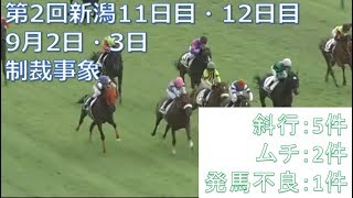 2017年9月2日・3日新潟競馬制裁事象