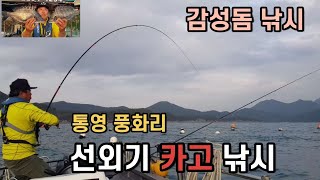 통영 풍화리 선외기 감성돔 카고낚시 /  [감성돔 놀이터] 미역양식장 끝내주네요