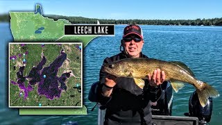 Leech Lake — The BIG FISH Factory