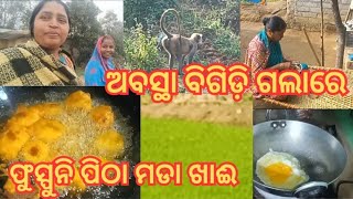 ଫୁସ୍ପୂନି ର୍ ଛେରଛେରା ପିଠା ମଡା ଖାଇ //ପାନି କାକର ଥି ଧାର୍ଲା ବେମାର#sambalpurivlog