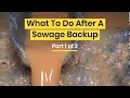 What to do After a Sewage Backup (cleanup in Branford CT) Part 1 of 2SERVPRO of Branford