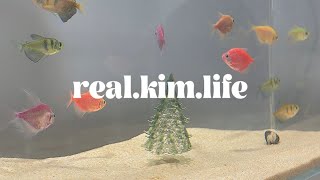 playlist | 왜 그런날 있잖아. 물속에 빠지고 싶은 날