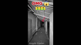 Real Ghost ☠💀👽 Live CCTV Footage Shows Real Ghost in Action – Must See!