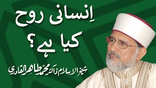 Insani Rooh kia hy? | انسانی روح کیا ہے؟ | Shaykh-ul-Islam Dr Muhammad Tahir-ul-Qadri