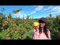 uk වල ඇපල් වත්තකට යමු let s go to an apple orchard  sinhala vlog apple picking farm