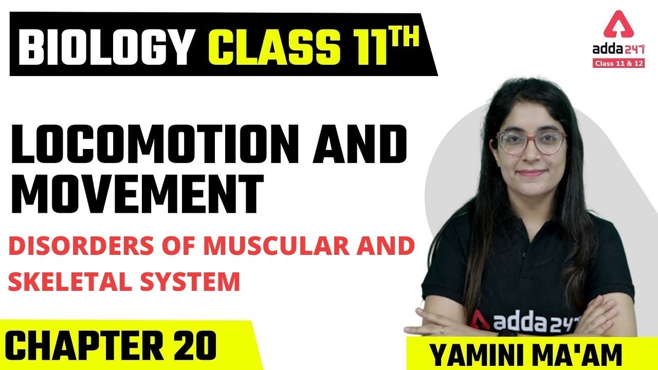 Class 11 Biology Chapter 20 | Locomotion And Movement | Disorders Of ...