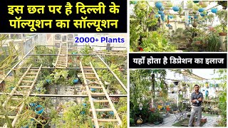 दिल्ली की छत पर 2000+ प्लांट्स😍 Low AQI, प्लांट्स से डिप्रेशन का इलाज || Unique Farming