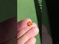 3.21 ct fanta orange spessartine garnet