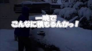 車の雪下ろし～大寒波襲来～