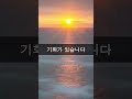 2023년도 연세대학교 총동문회는 여러분들과 함께 달려가겠습니다 yonsei 연세대 shorts short 2023