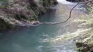 山中温泉を流れる大聖寺川