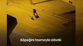 NTV | Köpeğini tasmasıyla dövdü