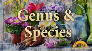 Genus and Species – Garden Glossary