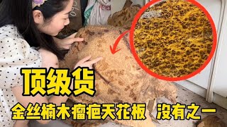 30万的金丝楠瘤王，瑶妹花10万只买下两片，看看它效果有多震撼