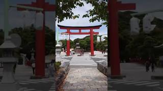 【🇯🇵旅日記】鎌倉:歴史ある「鶴岡八幡宮」⛩️ #Shorts