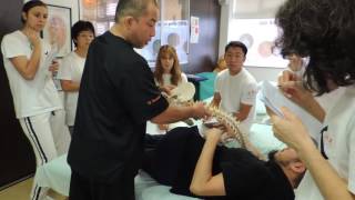 Curso Profesional de Shiatsu: Tratamiento Articulación Coxofemoral