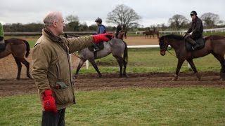 Willie Mullins, le génie de l'obstacle en Irlande