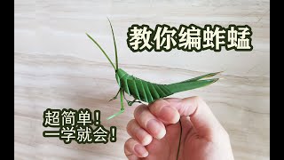 棕榈叶编蚱蜢勾起童年回忆，快给家里的小朋友编一个吧