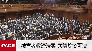 【国会中継】衆院本会議　被害者救済法案は可決、参議院へ（2022年12月8日）