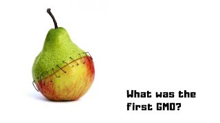 What was the first GMO? | மரபணு மாற்றப்பட்டது| Genetically Modified |NammaOoru |Tamil |தமிழ்