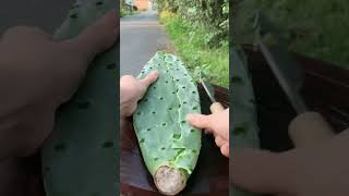 Opening the cactus skin #shorts