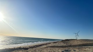 TÌM VỀ BIỂN |  HAMAOKA sand dunes , Omaezaki 27/1/24