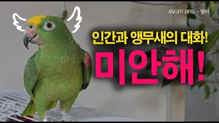 별이가 드디어 아빠에게 말을 했어요!! / 3주만에 터지는 진솔한 대화 / 앵무새가 개콘보다 더 웃기다!!  / 사람과 대화 가능앵무새 / ANGRY BIRD