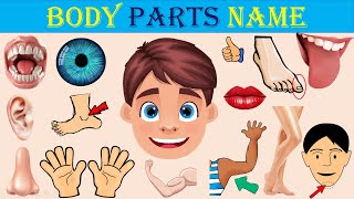 Parts of the Body | body Parts Name in English | Human Body Parts Name in English with Pictures