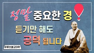 [불교] 우학스님 생활법문 (새 법구경 명상-2)