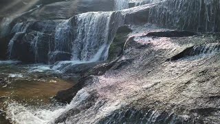 Hiking the Allatoona Falls trail at Olde Rope Mill Park.