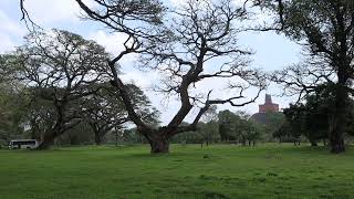 Relaxing nature  Historical beautiful ancient ||  Srilanka  Anuradhapura Jethawanaramaya