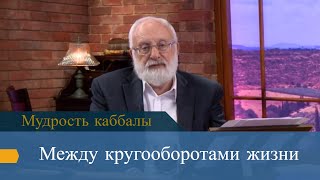 Между кругооборотами жизни. Мудрость каббалы