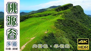 桃源谷步道 內寮-草嶺線｜草原綠意與湛藍海洋相互輝映