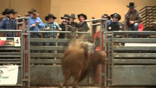 Bull of the Night: C'N Stars' 73 Buck Wild clicks Kurt Shephard's heels in Kalispell, MT (PBR) '14