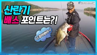 산란기 배스가 머무르는 포인트는 어디일까요? [피싱TV : 디액션 #29]_Bass fishing