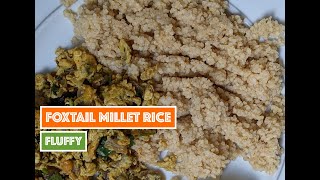 కొర్ర అన్నం పొడి పొడి గా తయారీ విదానం | Fluffy Foxtail Millet Rice Recipe