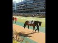 2023年2月11日　東京競馬場　4r　パドック