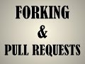 Learning GitHub: Forking & Pull Requests