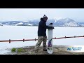 2020 Capita Birds of a Feather Snowboard Review