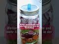 günstig fermentieren rezept günstig