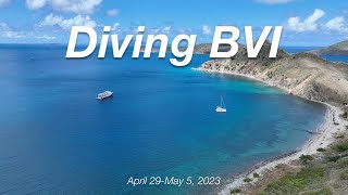 Diving BVI 2023